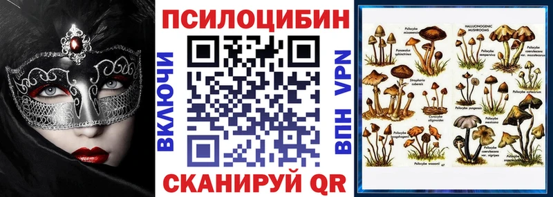 Купить  Красавино  Псилоцибиновые грибы мицелий 